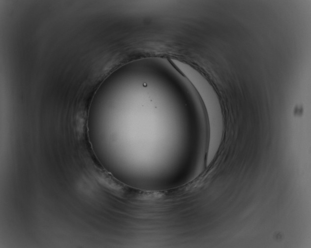 X0000101970576200807181108