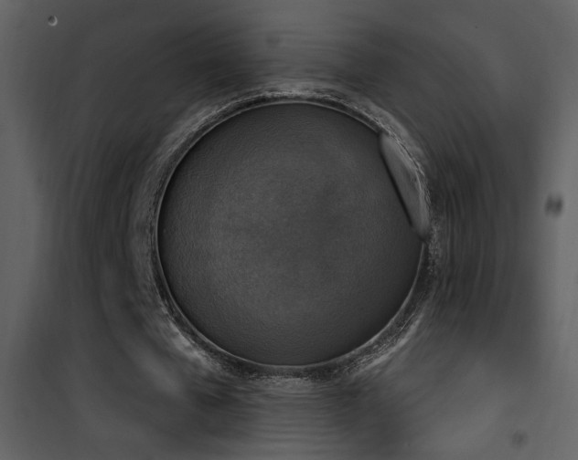 X0000101970577200807181107