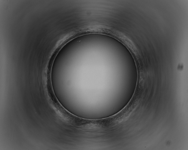 X0000101970578200807181107