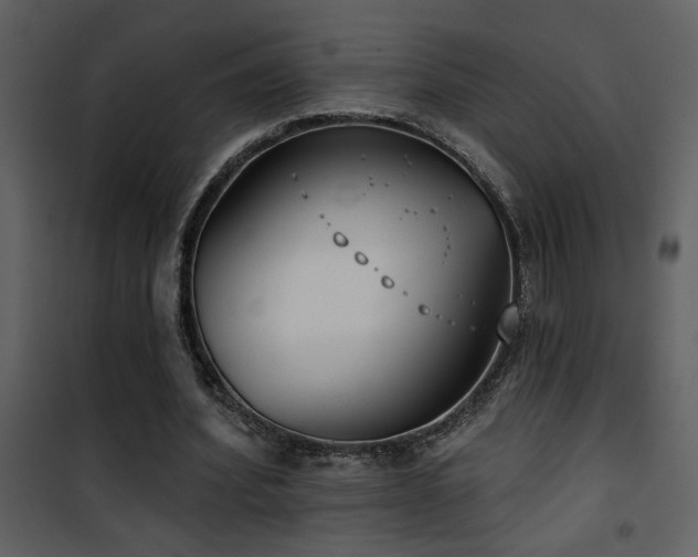 X0000101970580200807181107
