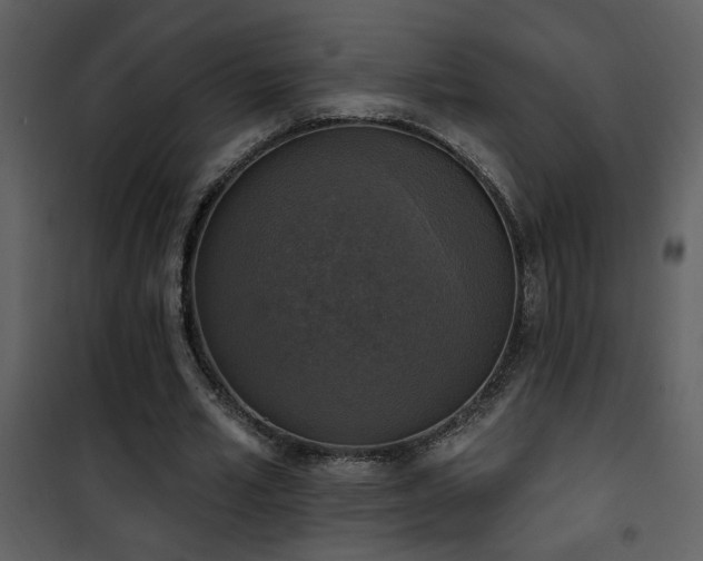 X0000101970581200807181107
