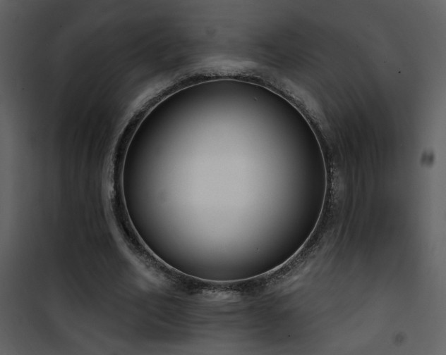 X0000101970582200807181107