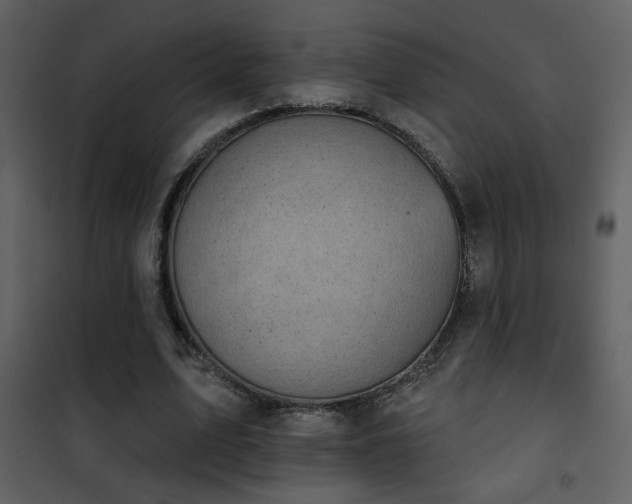 X0000101970583200807181107