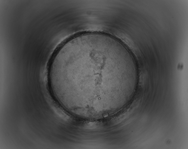 X0000101970584200807181107