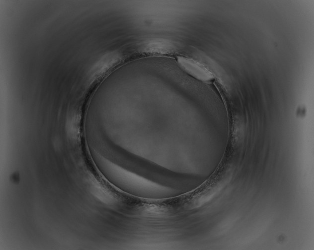X0000101970585200807181107