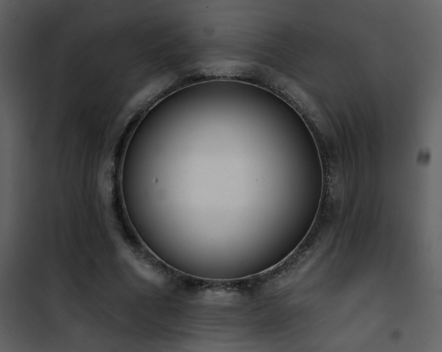 X0000101970586200807181107