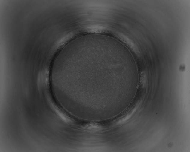 X0000101970589200807181107