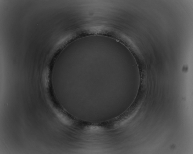 X0000101970590200807181107