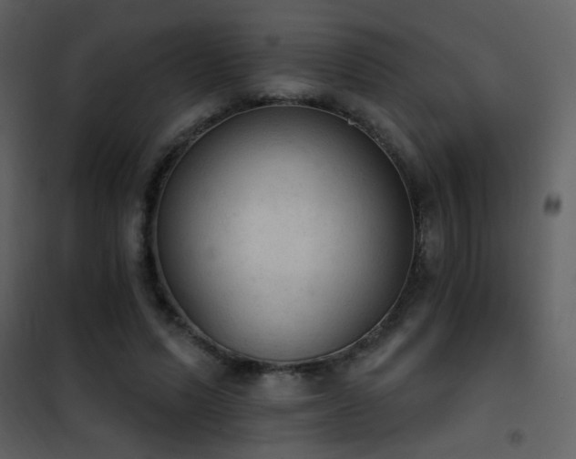 X0000101970591200807181107