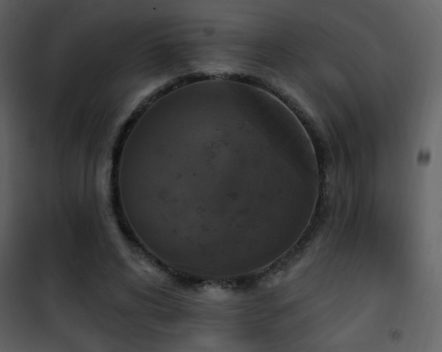 X0000101970592200807181107
