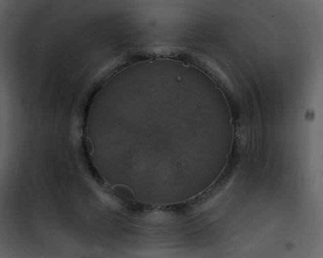 X0000101970593200807181107