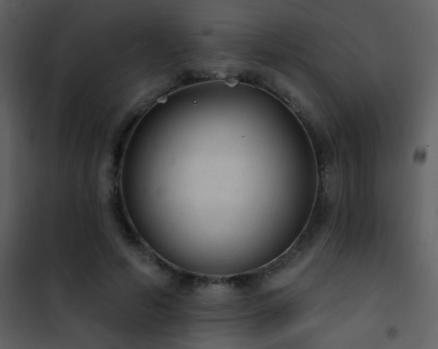 X0000101970594200807181107
