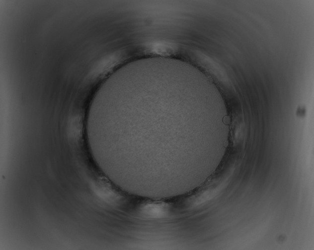 X0000101970595200807181107