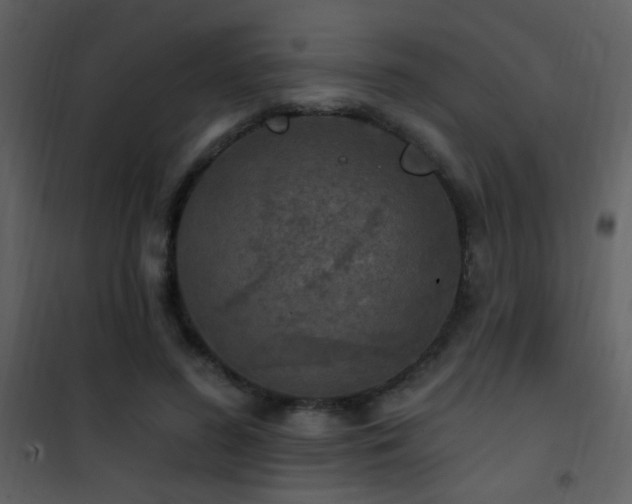 X0000101970596200807181107