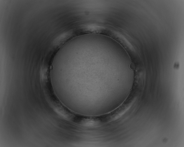 X0000101970597200807181107