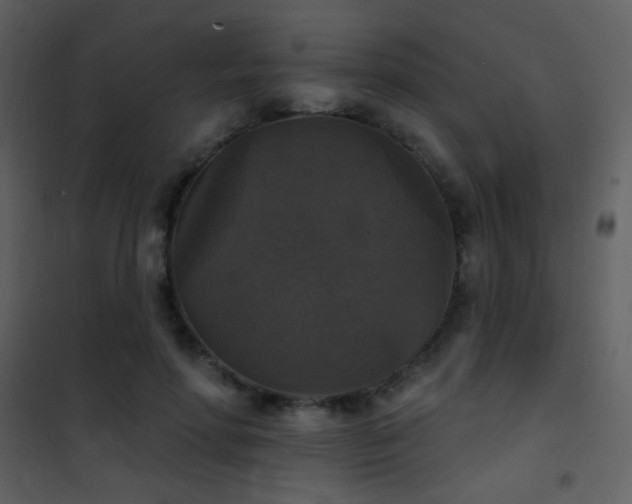 X0000101970598200807181107