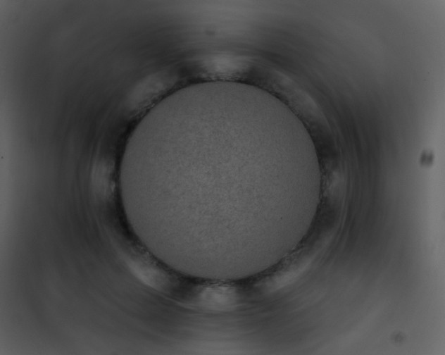 X0000101970599200807181107