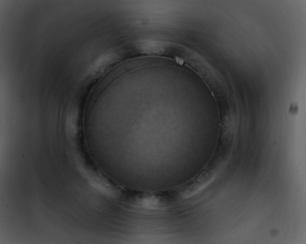 X0000101970600200807181107