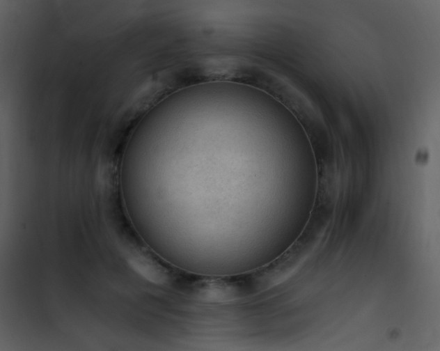 X0000101970601200807181107