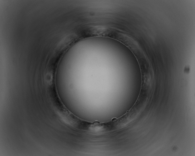 X0000101970602200807181107