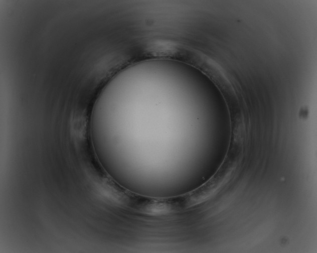 X0000101970604200807181107