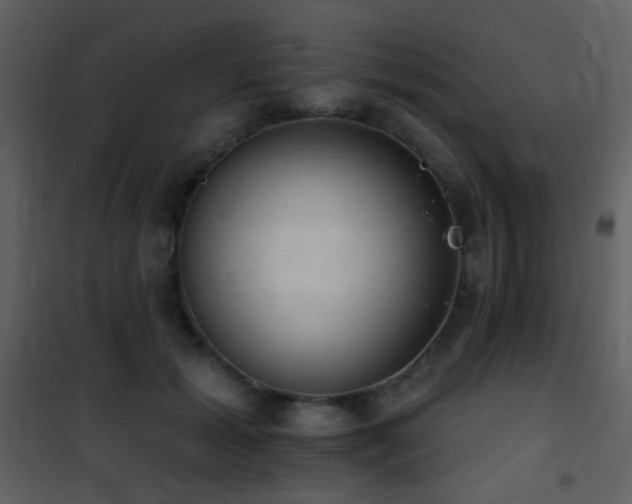 X0000101970605200807181107