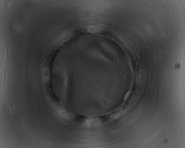 X0000101970606200807181106
