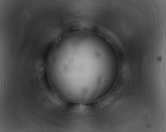 X0000101970607200807181106