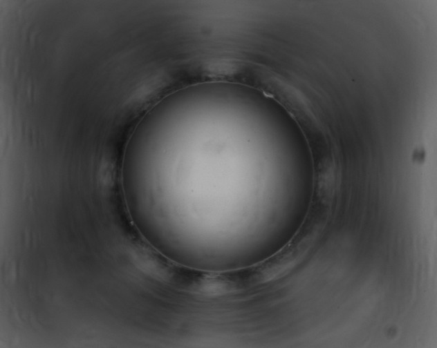 X0000101970608200807181106