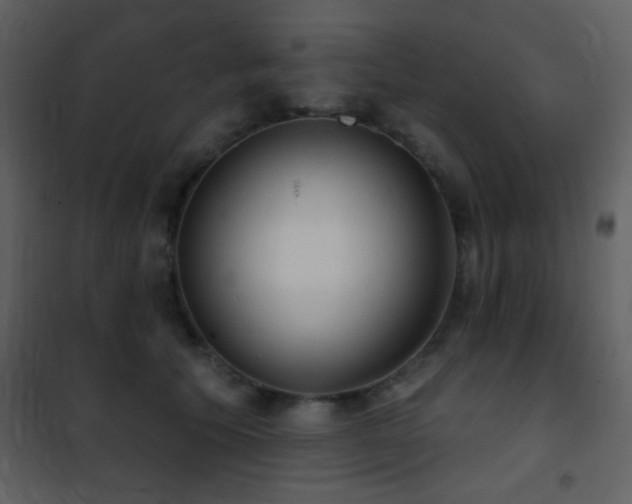 X0000101970609200807181106