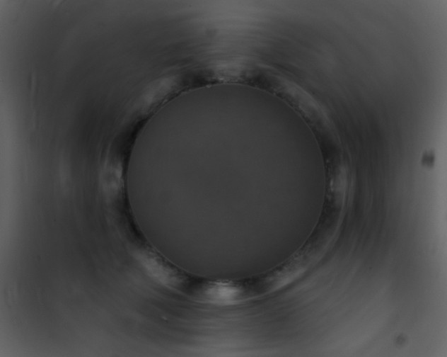 X0000101970610200807181106