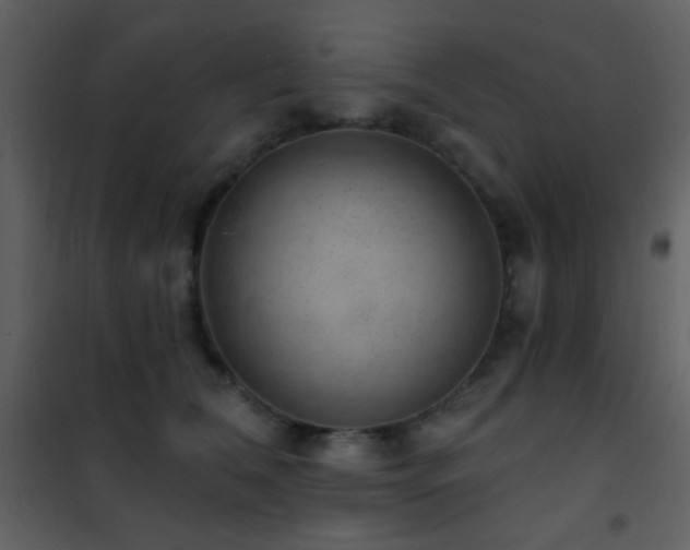 X0000101970612200807181106