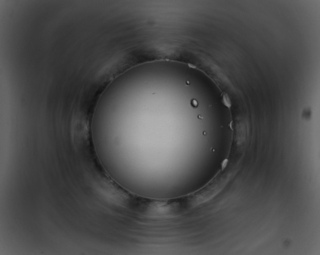 X0000101970613200807181106