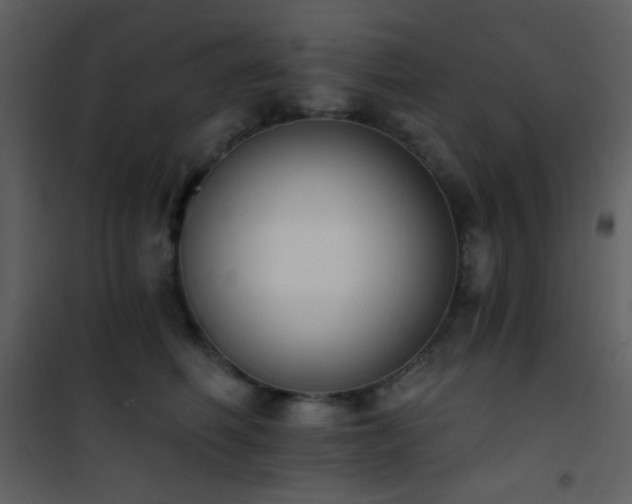 X0000101970614200807181106