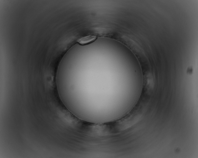X0000101970615200807181106
