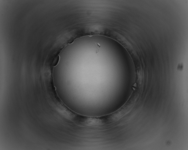 X0000101970617200807181106
