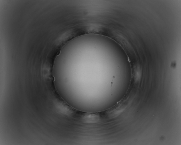 X0000101970619200807181106