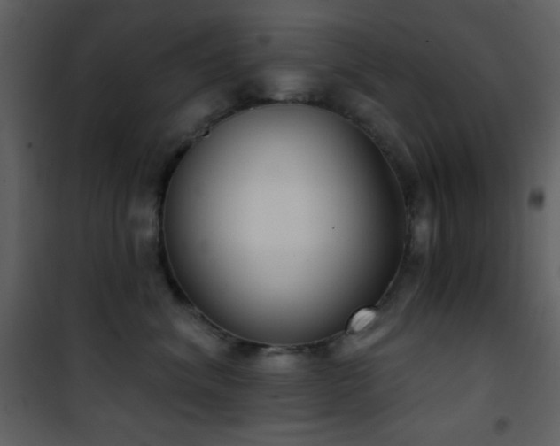 X0000101970620200807181106