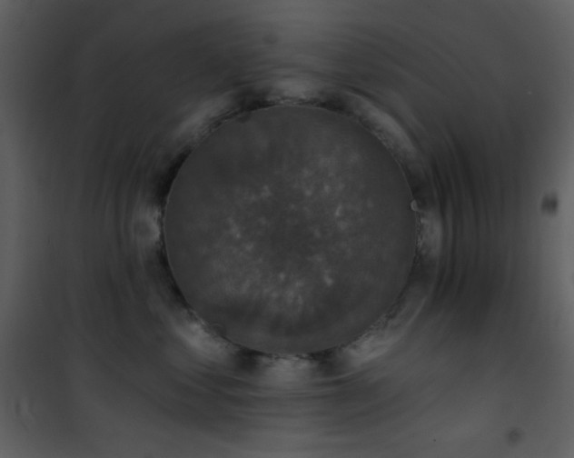X0000101970621200807181106