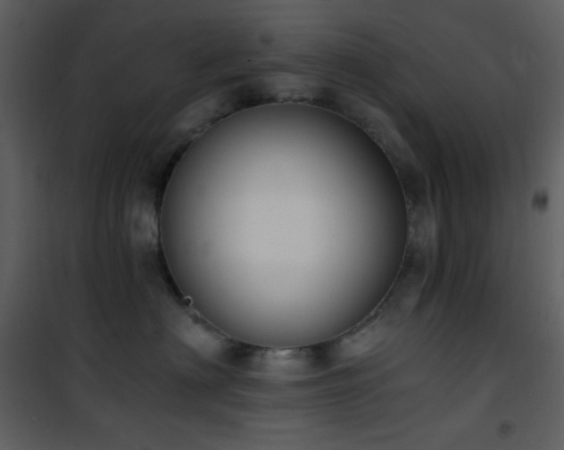 X0000101970622200807181106