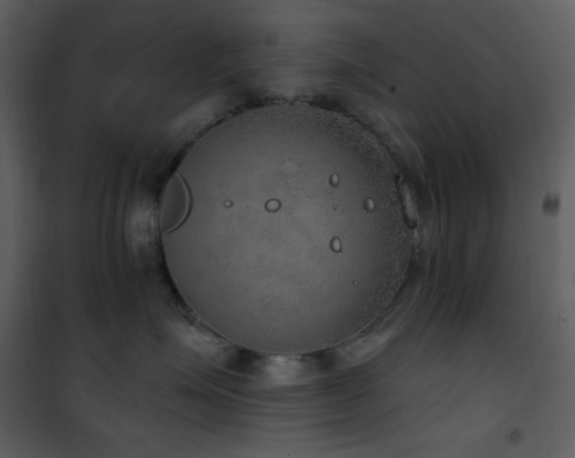 X0000101970623200807181106