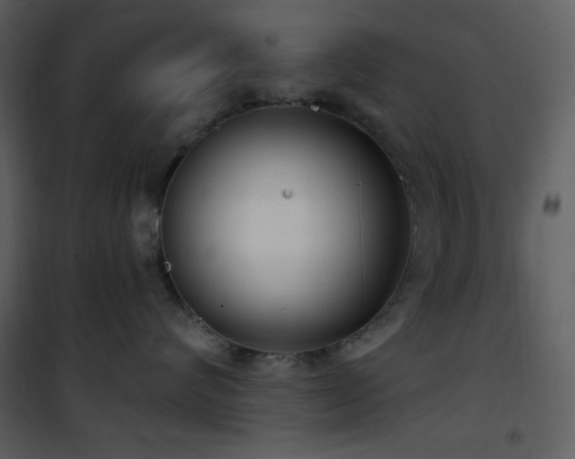 X0000101970624200807181106