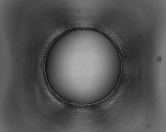 X0000101970625200807181106