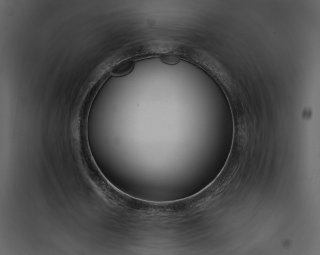 X0000101970626200807181106