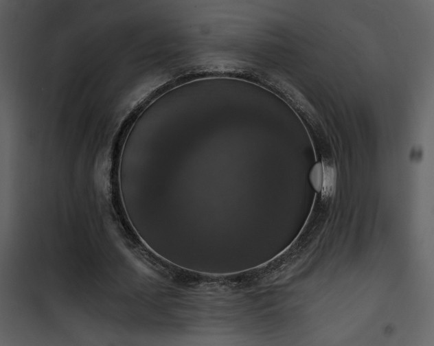 X0000101970627200807181106