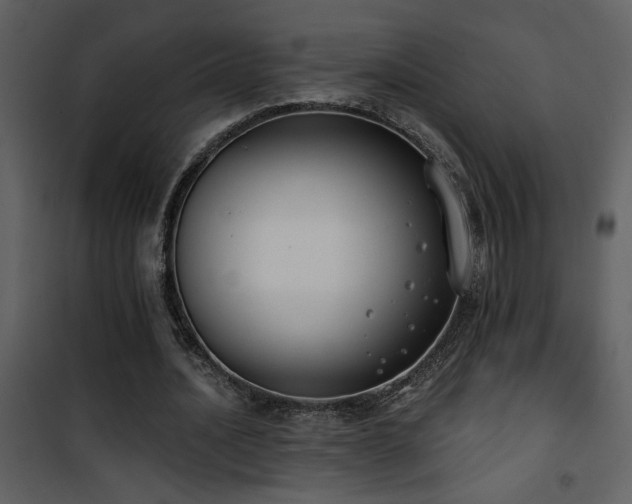 X0000101970628200807181106