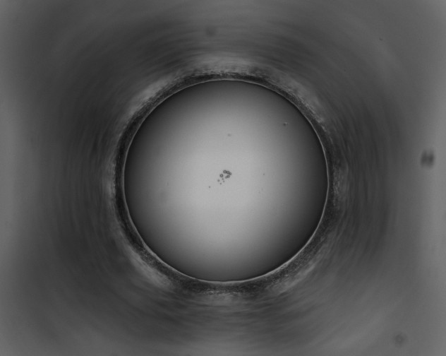 X0000101970629200807181106