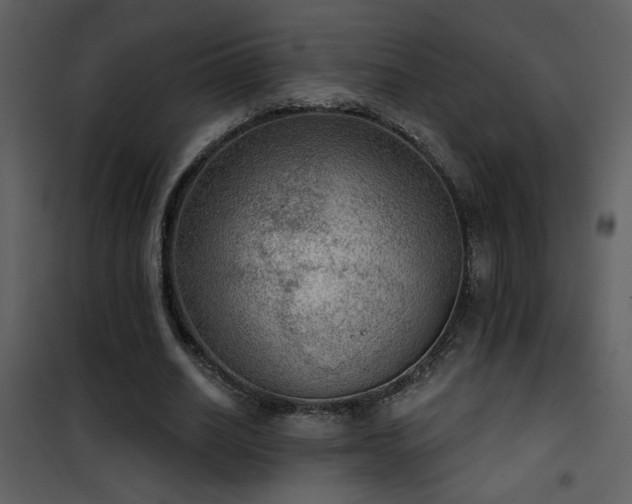 X0000101970630200807181106