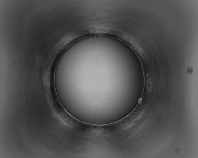 X0000101970631200807181106