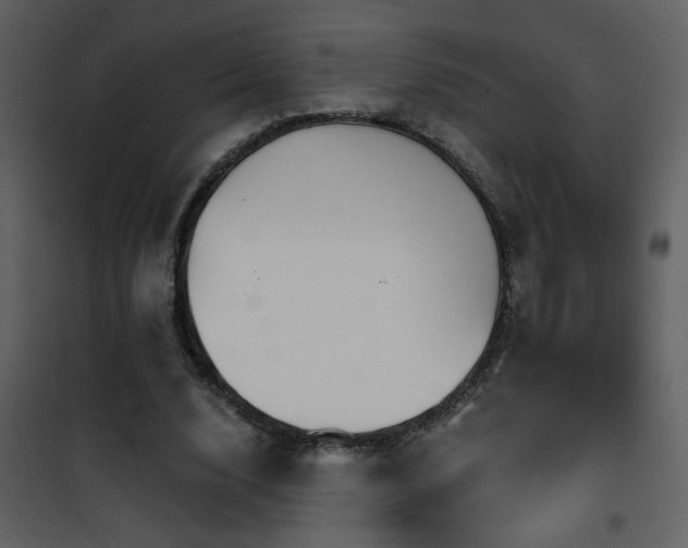 X0000101970632200807181106